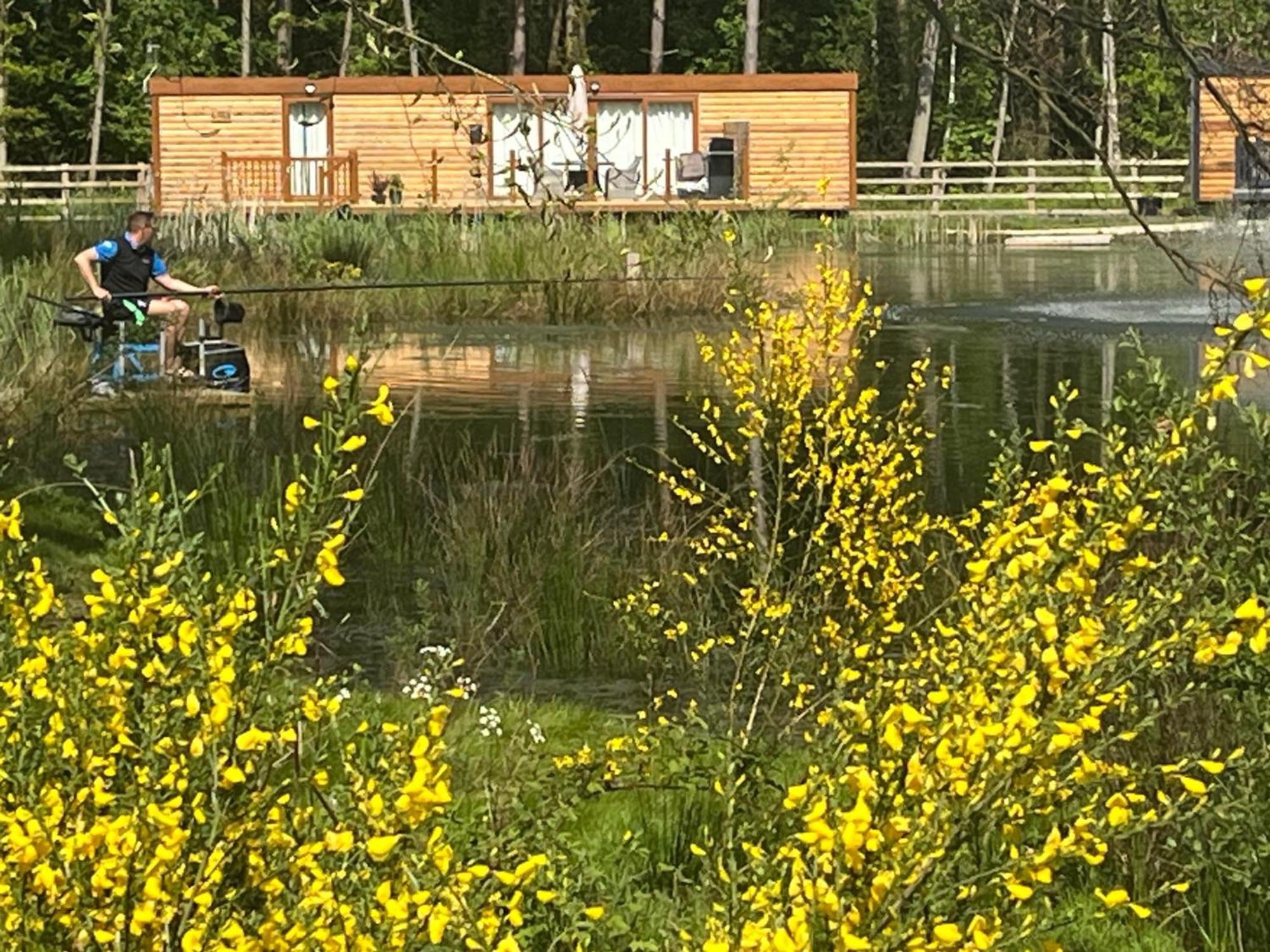 Oak Boutique Lodge Includes Hot Tub Air Con & Dog 요크 외부 사진
